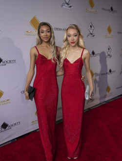 Cinema Audio Society Awards