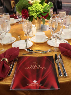 62nd Annual Cinema Audio Society Awards