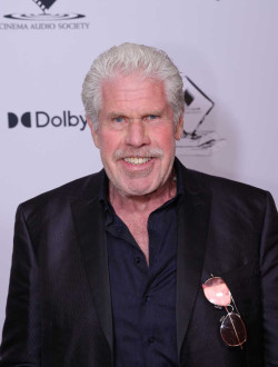 62nd Annual Cinema Audio Society Awards