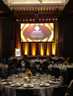 CAS Awards